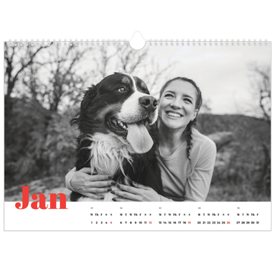 A3 Photo Calendar — A bold year [January]