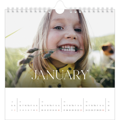 Square calendars  — Twelve big months [January]
