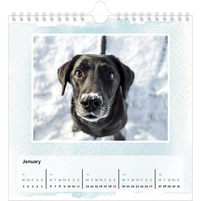 Square calendars  — Watercolour backgrounds [January]